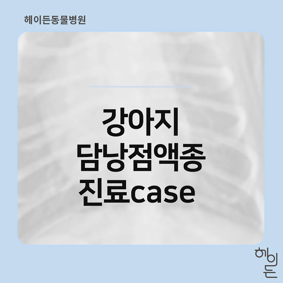 담낭점액종을 약물로 관리한 금동이와 몽글이