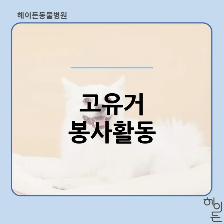 겨울 문턱의 고유거 보호소, 90여 마리와 보낸 하루