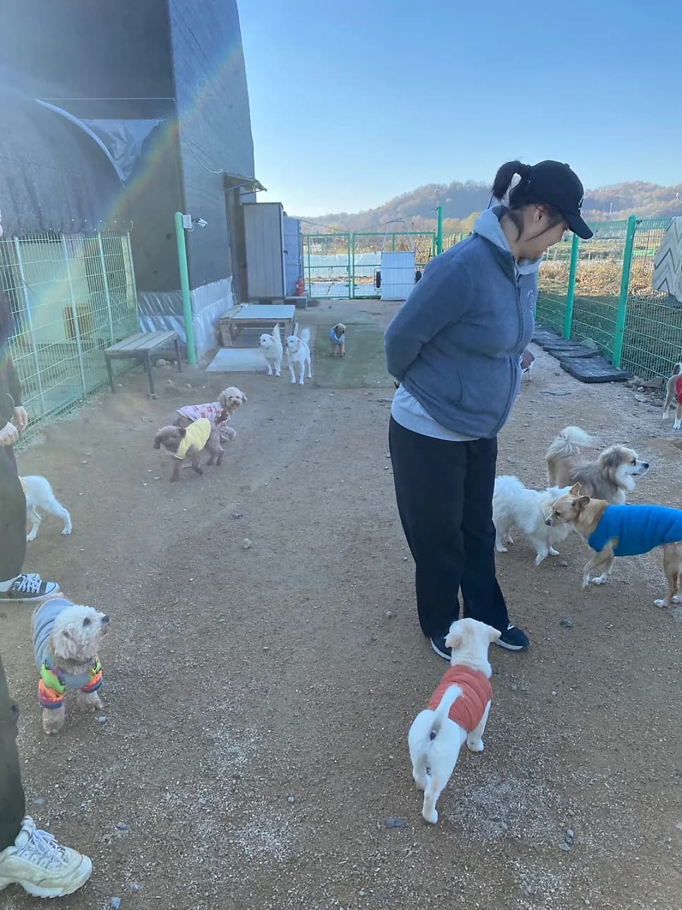 겨울 문턱의 고유거 보호소, 90여 마리와 보낸 하루 — 진료 사진 2