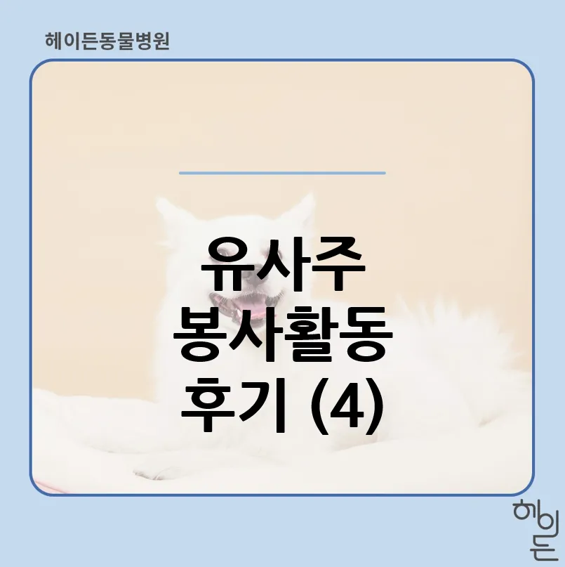 네 번째 봉사, 다시 찾은 유사주 보호소