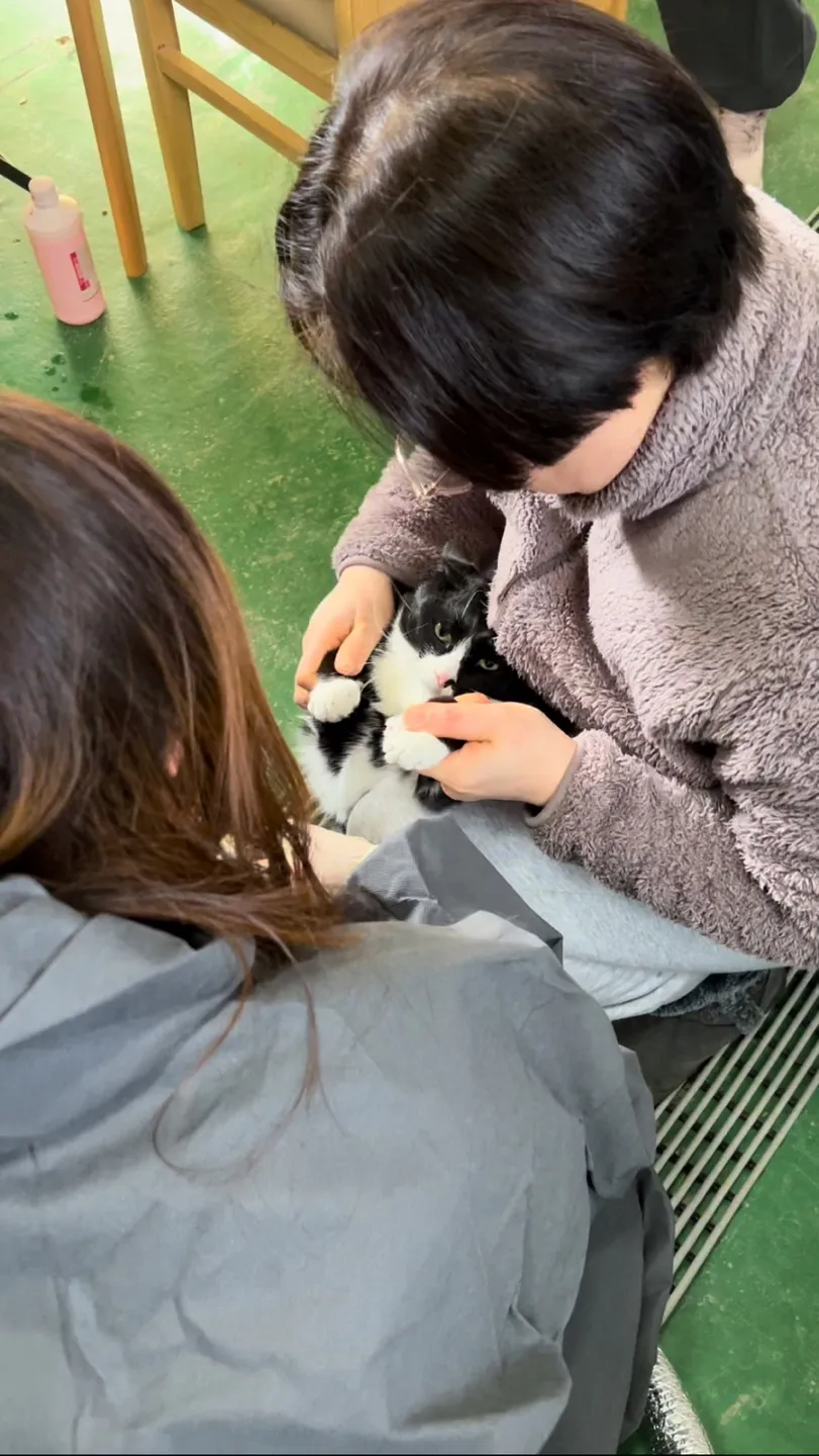 네 번째 봉사, 다시 찾은 유사주 보호소 — 진료 사진 5