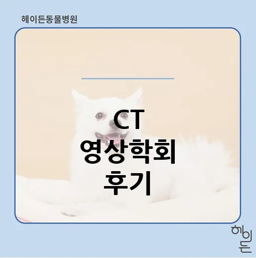 수의영상 아카데미에서 배운 것들 — CT와 초음파의 다음 단계