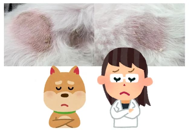 반복되는 피부염 뒤에 있던 쿠싱증후군, 11살 희망이