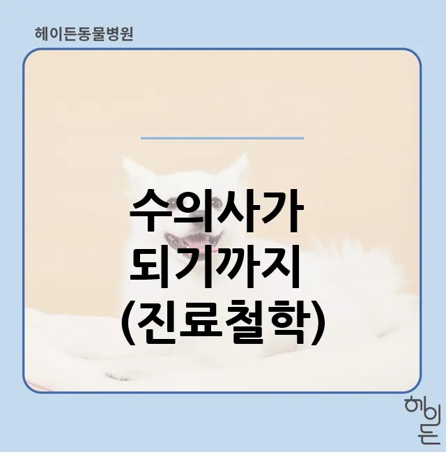13년차 내과 수의사가 되기까지