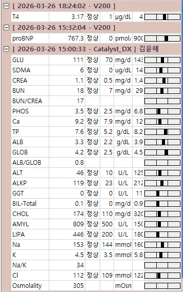 눈 아래가 붓고 피고름이 나왔습니다 — 12살 푸들의 치주농양 — 진료 사진 3