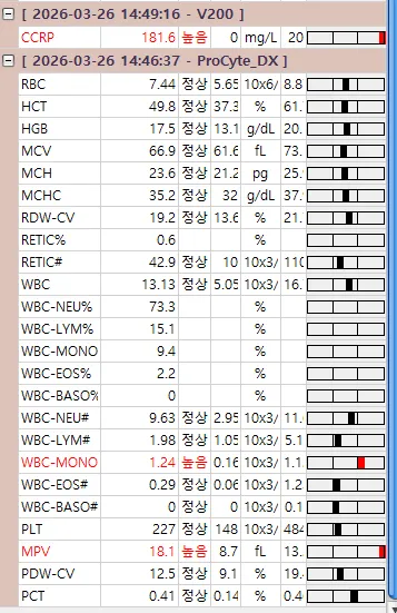 눈 아래가 붓고 피고름이 나왔습니다 — 12살 푸들의 치주농양 — 진료 사진 4
