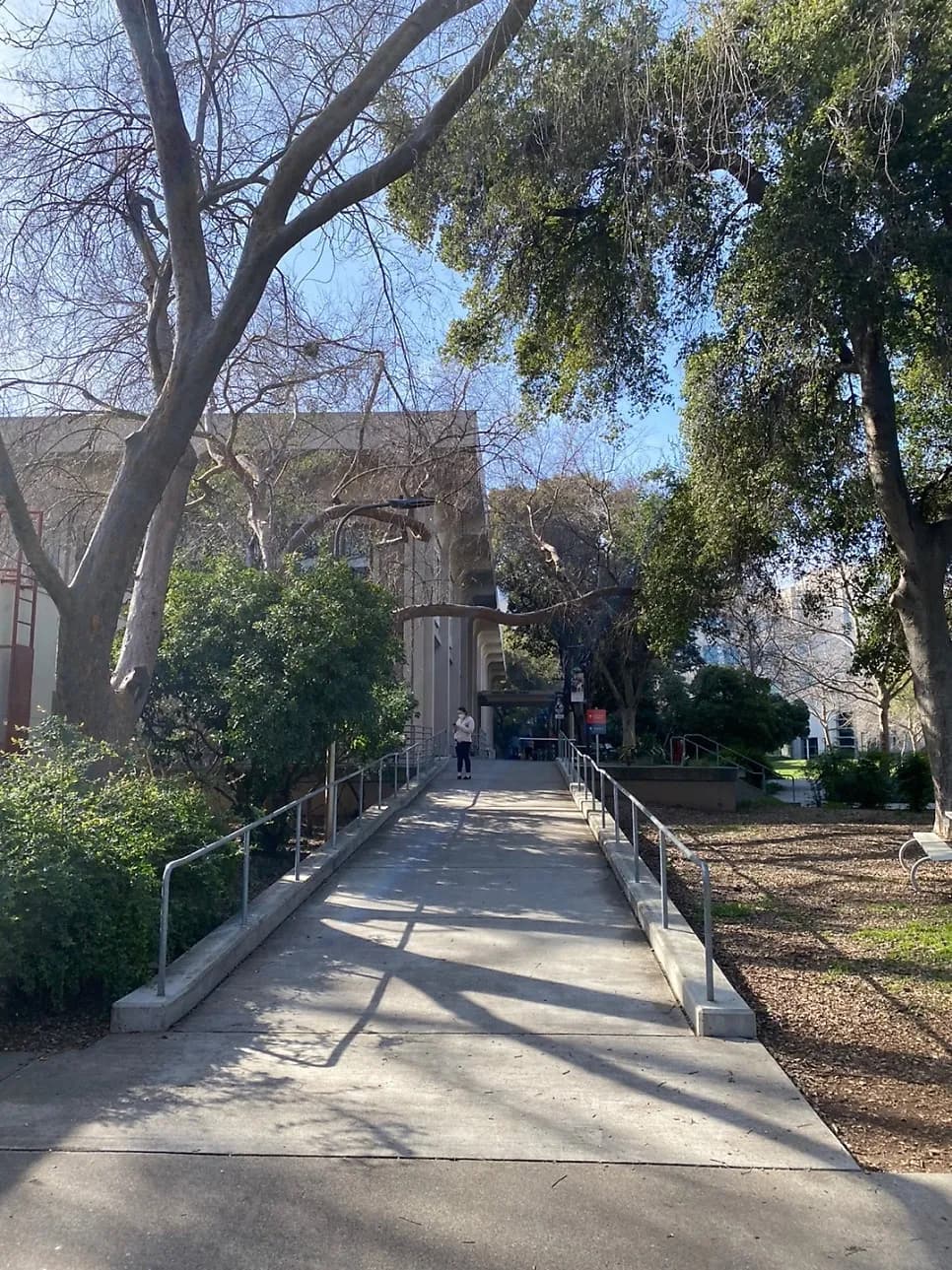 라스베가스 WVC 학회와 UC Davis 방문기 — 진료 사진 2