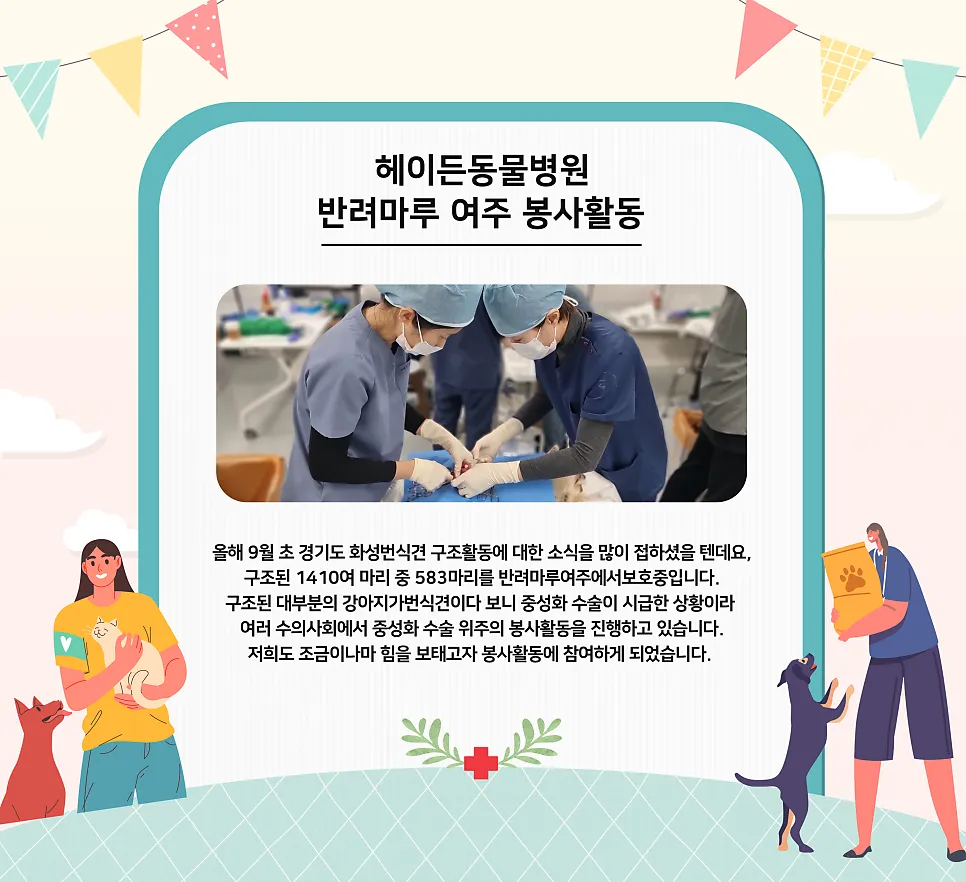 반려마루 여주에서, 구조된 번식견 200마리의 중성화 수술 — 진료 사진 1