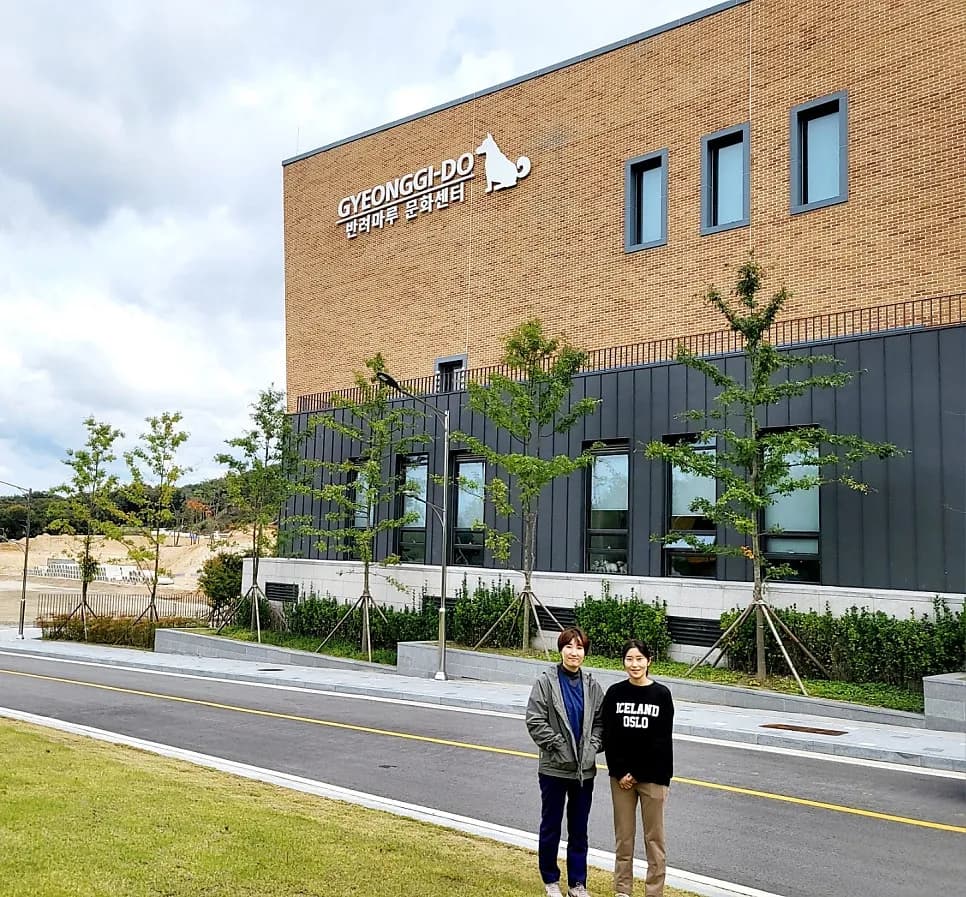 반려마루 여주에서, 구조된 번식견 200마리의 중성화 수술 — 진료 사진 3
