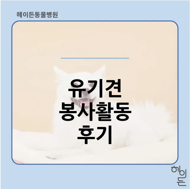 첫 정기 봉사, 보호소에서의 백신 접종