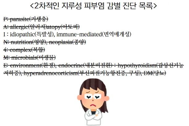 전신 피부염으로 온 2살 푸들 사랑이의 지루성피부염 관리 — 진료 사진 4