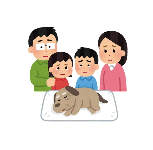 아이와 잘 이별하기
