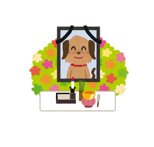 아이와 잘 이별하기 — 진료 사진 2
